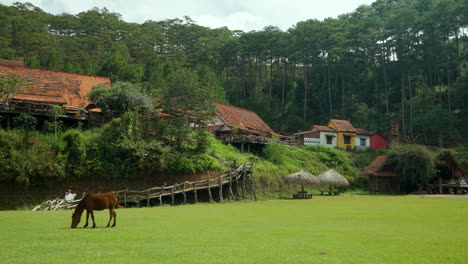 Pueblo-étnico-Vietnamita-Cu-Lan-Construido-En-Una-Colina-En-El-Bosque,-Da-Lat,-Vietnam---Gran-Angular