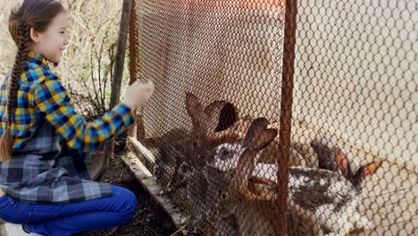 excited little girl in apron is feeding caged rabbits with grass on farm, watching them eat and laughing. happy childhood, domestic animals and nature concept.