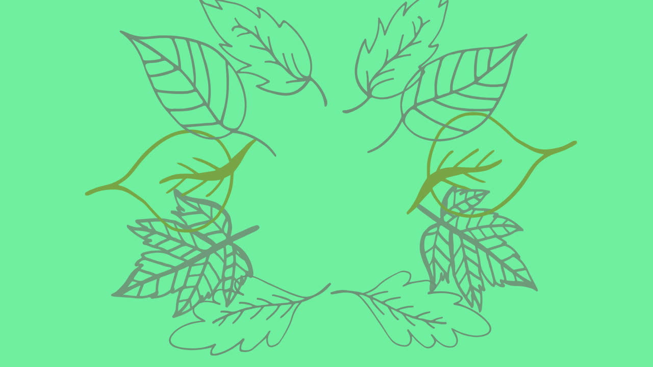 Animation of a frame of plant leaves forming on green background
