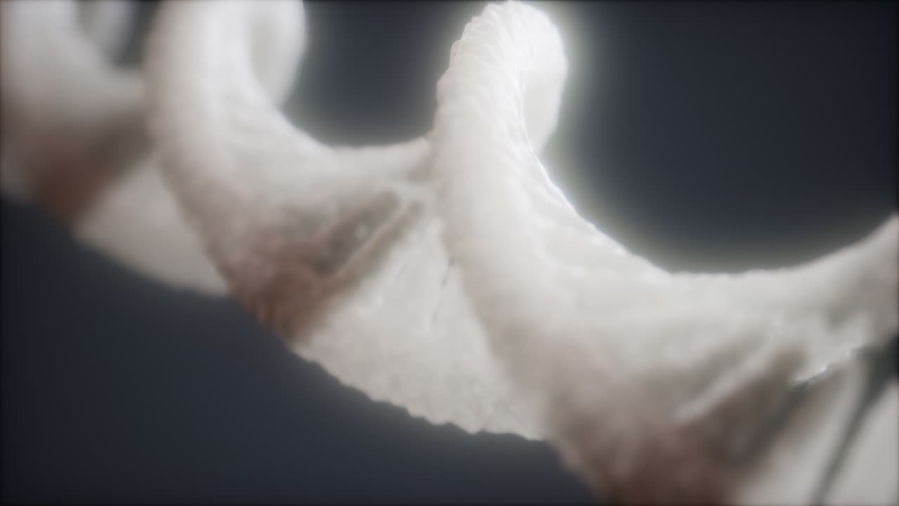 dna 이중 나선 애니메이션의 루프 가능한 구조