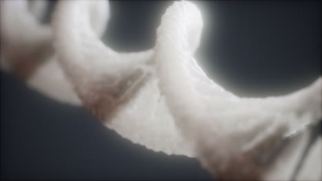 dna 이중 나선 애니메이션의 루프 가능한 구조