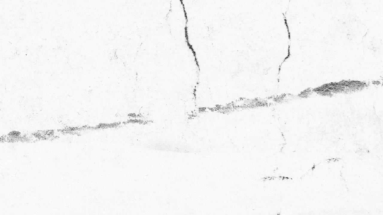 Abstrakt sort og hvid grunge tekstur-overlay med bevægelige ridser