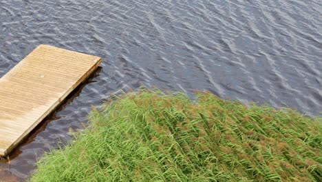 embarcadero de madera construido sobre aguas tranquilas del río lielupe en la reserva natural de jelgava