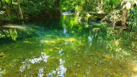 Weitwinkelaufnahme-Des-Grünen-Reflektierenden-Seichten-Sees-Tief-Im-Dschungelwald