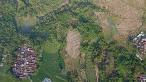 aerial top down view of tropical rural landscape with view of settements and agricultural field is starting to dry up due to the extreme dry season - indonesia