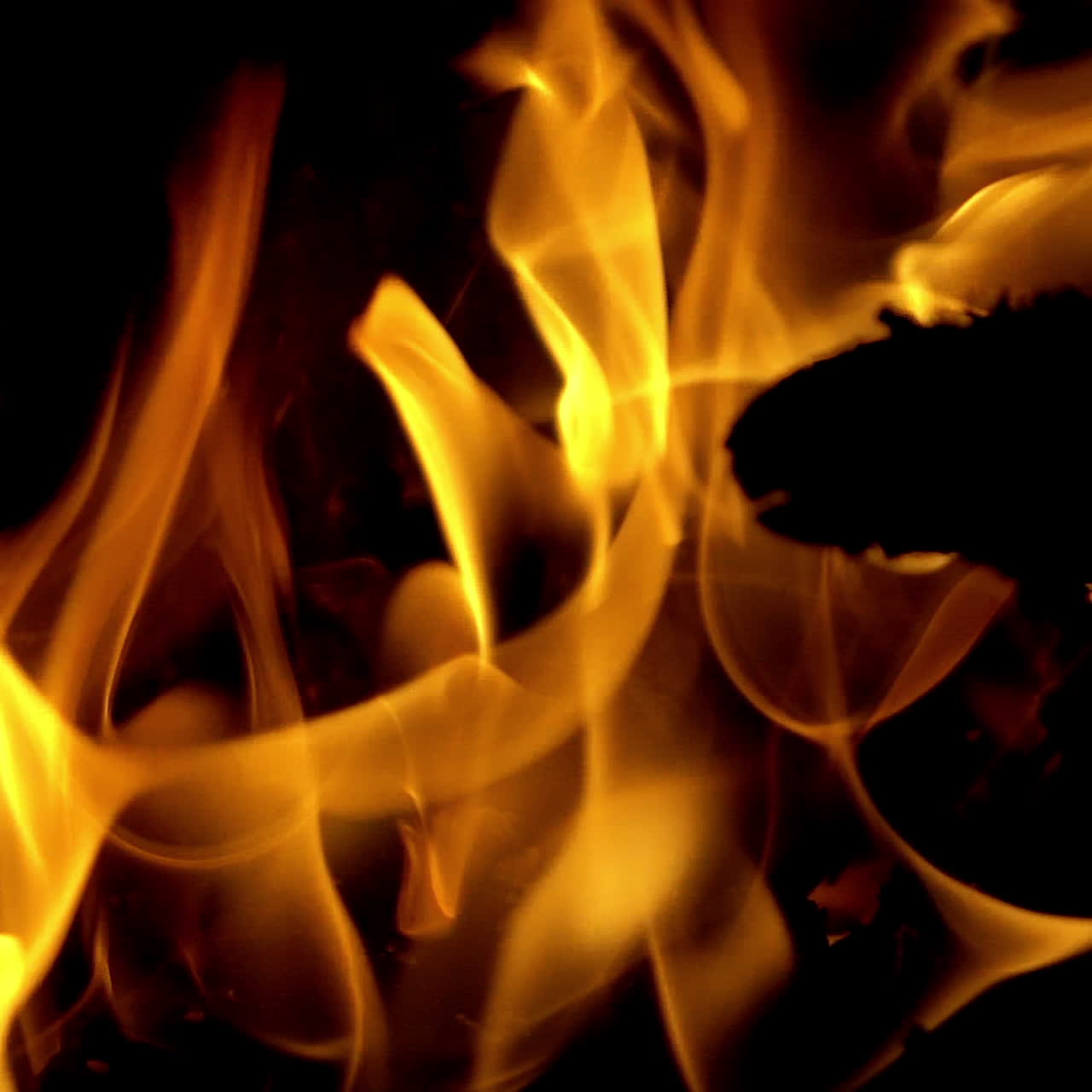 Big bonfire with bright flame and unburned log over the black background. Cozy evening with fire outdoors. Close-up
