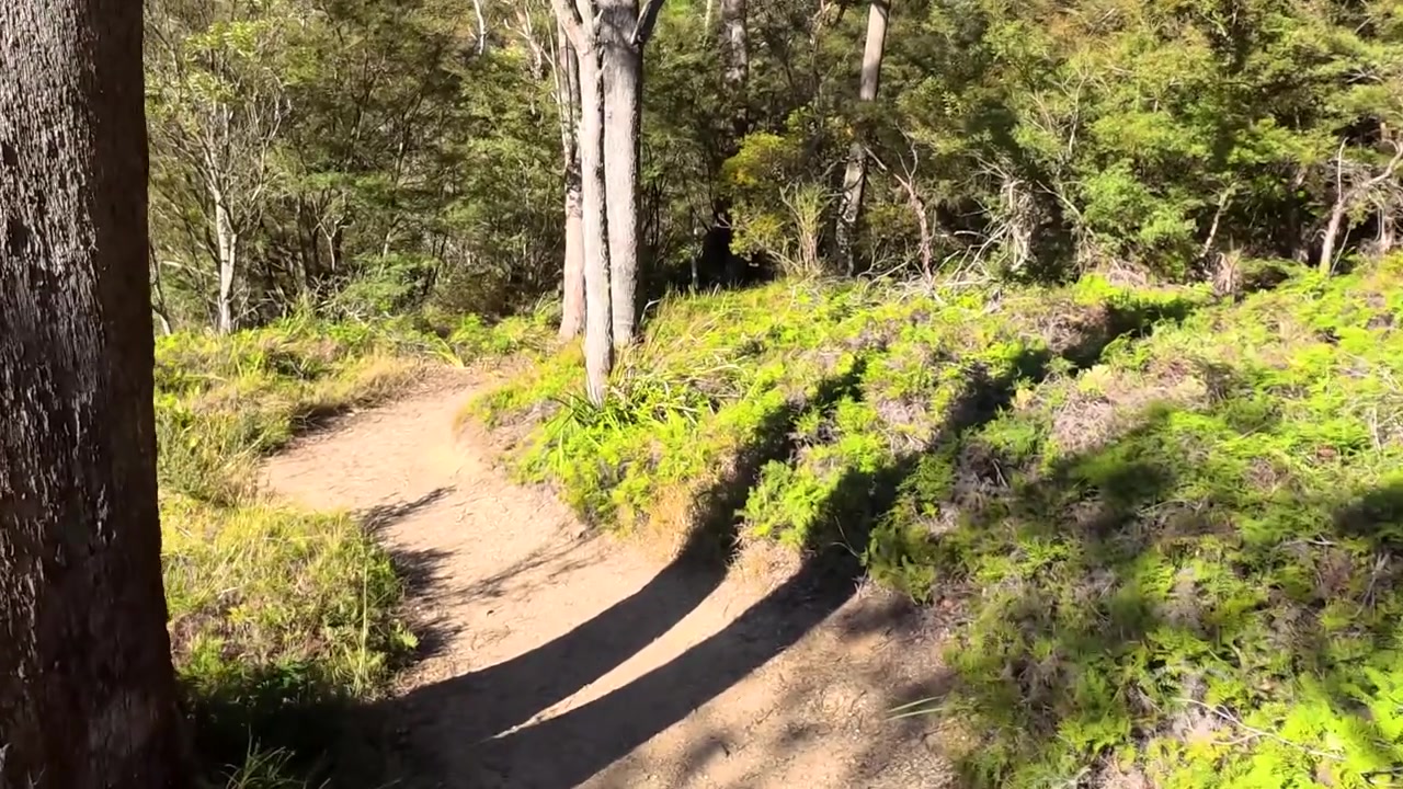 Perspectiva em primeira pessoa caminhando por um calçadão de madeira e uma trilha de terra no Parque Nacional Blue Mountains