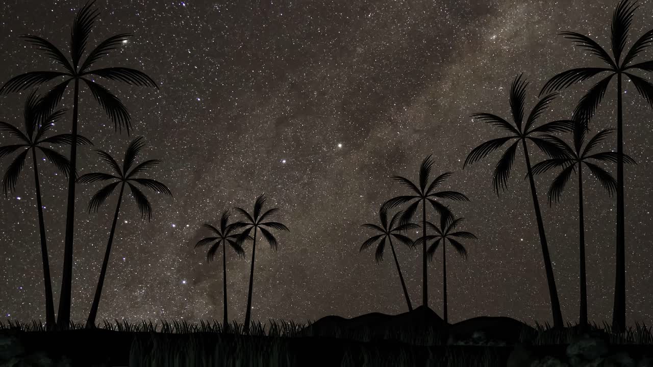 el lapso de tiempo de las estrellas que se mueven por encima de las palmeras.