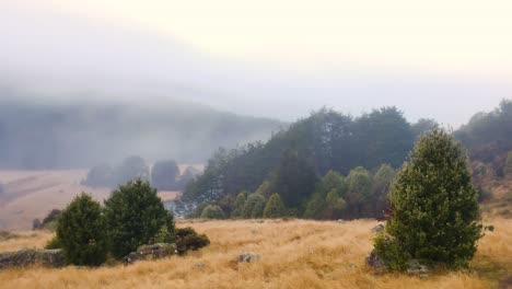 misty-morning-in-mountain-valley