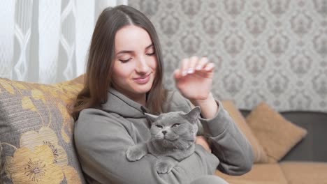 linda garota está sentada em seu quarto, segurando um gato cinza em suas mãos e sorrindo