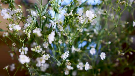 Gypsophila-Monarch-White,-Botanische-Weiße-Blumenausstellung-Auf-Blumenvase-Im-Wohnzimmer-Nahaufnahme-Der-Weißen-Blume-Im-Haus