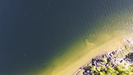 Top-Down-Serene-Lake-Beach-at-Kennedy-Lake,-Laylee-Island,-Vancouver-Island,-Canada