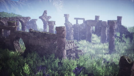 ancient stone ruins overgrown with vegetation