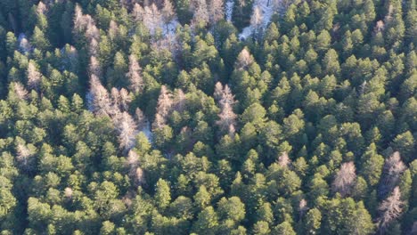 drone-flying-above-the-mountains-during-winter,-forward-movement-tilting-up-and-showing-a-forest