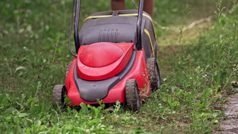 lawn mower in working process on green grass. close up view on the mower cutter machine on the natural lawn background. summer seasonal works in backyard.