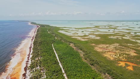 reserve nature of sian kaʼan biosphere reserve in quintana roo, mexico. aerial drone shot