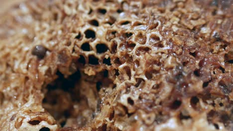 detail shot of honey comb on table