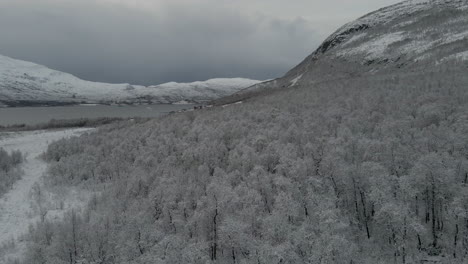 snowy landscape with snowy trees and mountains on a cloudy day of winter in norway - aerial drone shot
