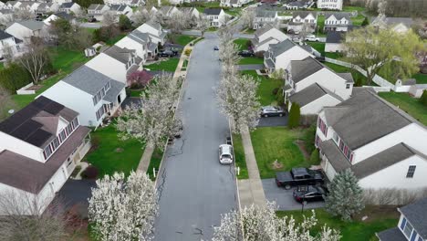 modern middle class neighborhood in america