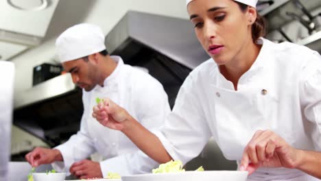 chefs garnishing food dish