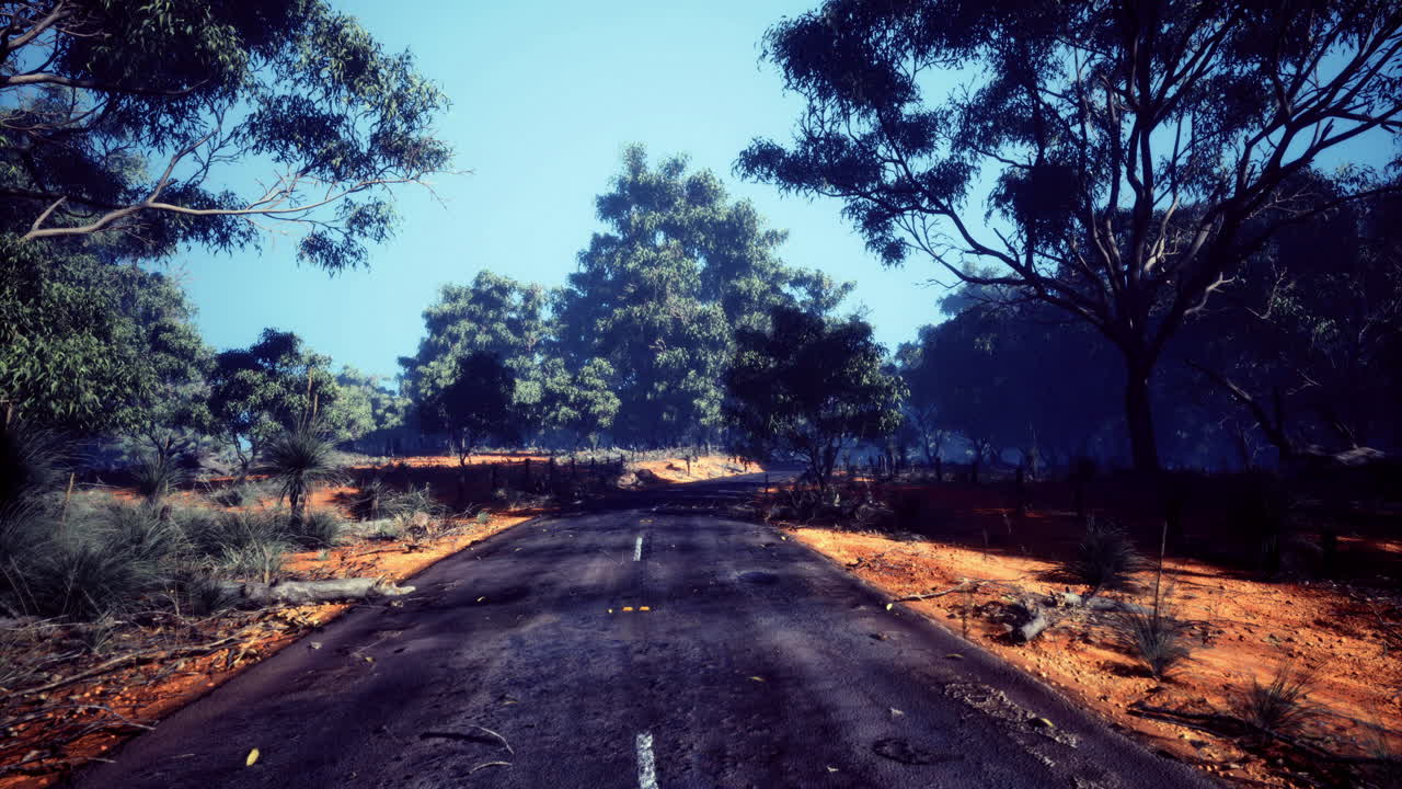 Mysterious road winding through a vivid forest under a bright blue sky