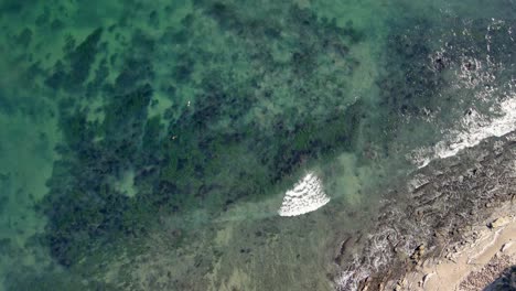 imágenes de drones del parque point dume