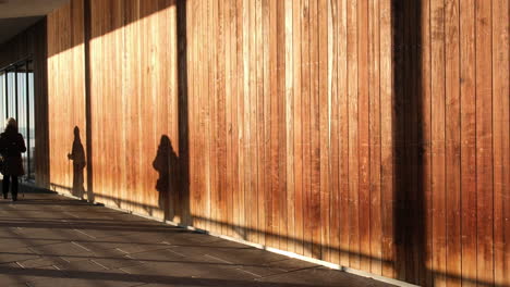 shadows on the wooden wall of people walking in the corridor at dusk