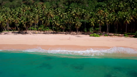 drone slowly flies forward toward a woman standing barefoot at the shoreline, surrounded by tropical palms and soft turquoise waves at silent beach, sri lanka.