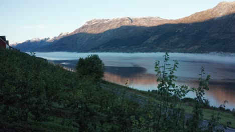 Nature-paradise-apple-tree-farm-orchard---Sorfjorden-with-Folgefonna-in-mountain-background---Norway