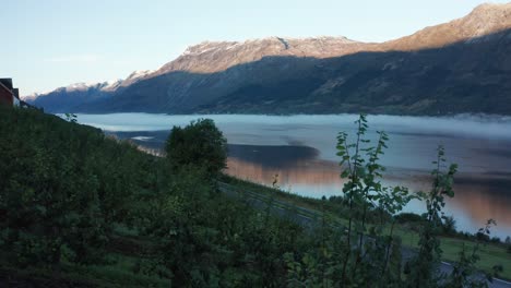 nature paradise apple tree farm orchard - sorfjorden with folgefonna in mountain background - norway