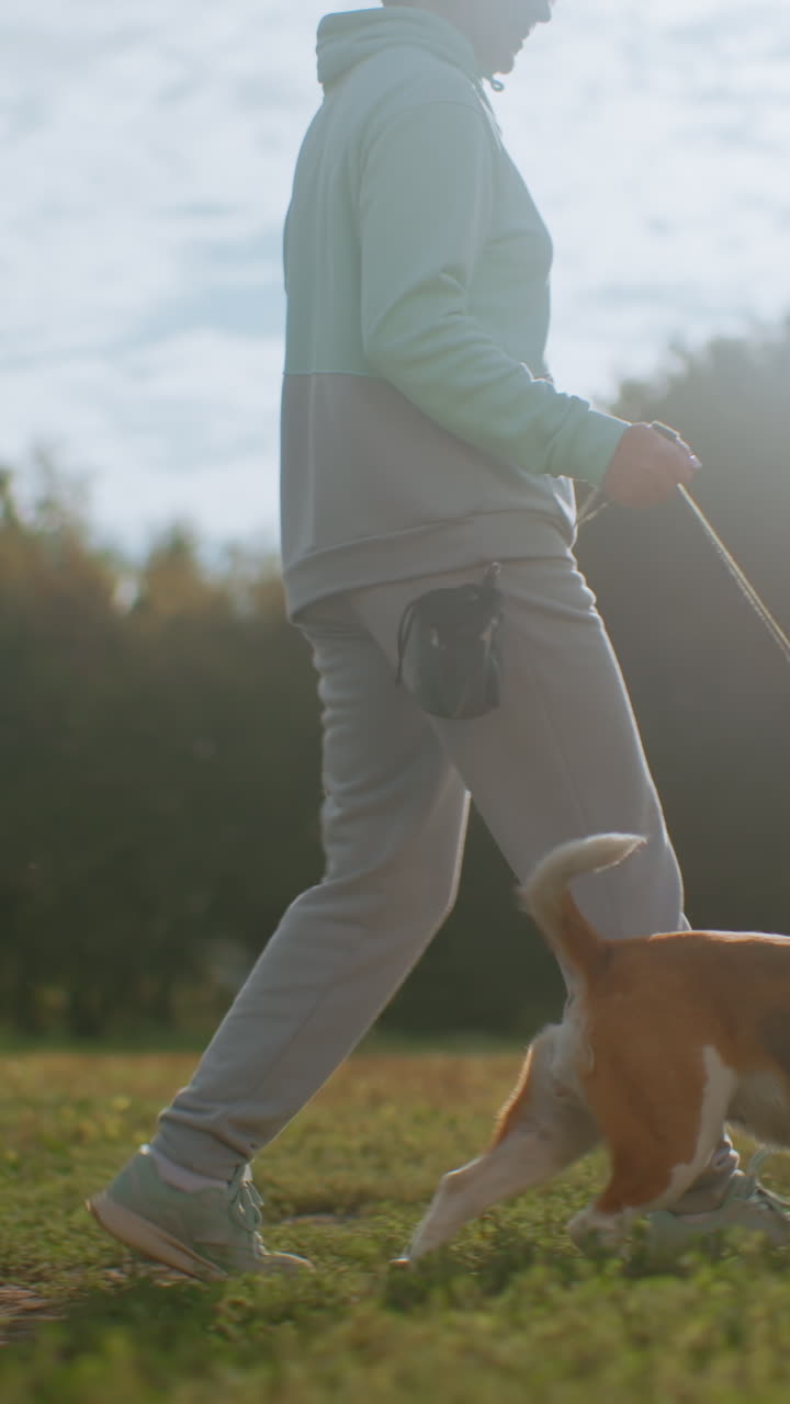 코카서스 인이 초원에서 비글을 산책시키는 모습, 부드러운 아침 햇살, 발밑의 클로버, 주인이 가죽 목줄과 간식 파우치를 들고 있고, 강아지는 열심히 냄새를 맡고, 느리고 편안한 속도, 평화로운 야외 일상