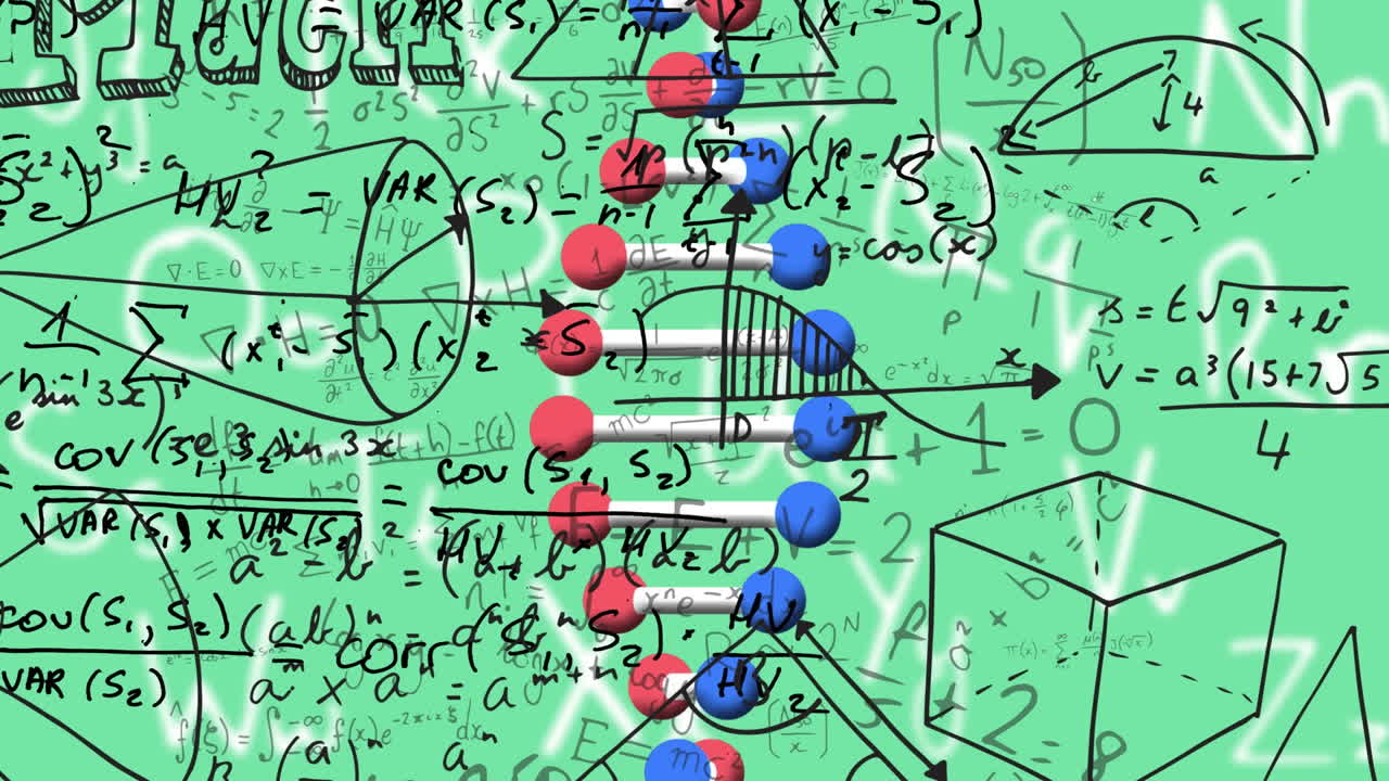 animación de los suministros escolares a través del procesamiento digital de datos.