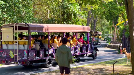 tourists observe wildlife from safari bus