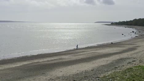 Junges-Mädchen-Spielt-Früh-An-Einem-Sommermorgen-Mit-Ihrem-Hund-Am-Strand