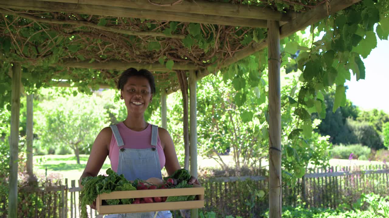 Donna adulta africana che raccoglie, in piedi sotto un pergolato di vite, tenendo una cassa e ispezionando le verdure.