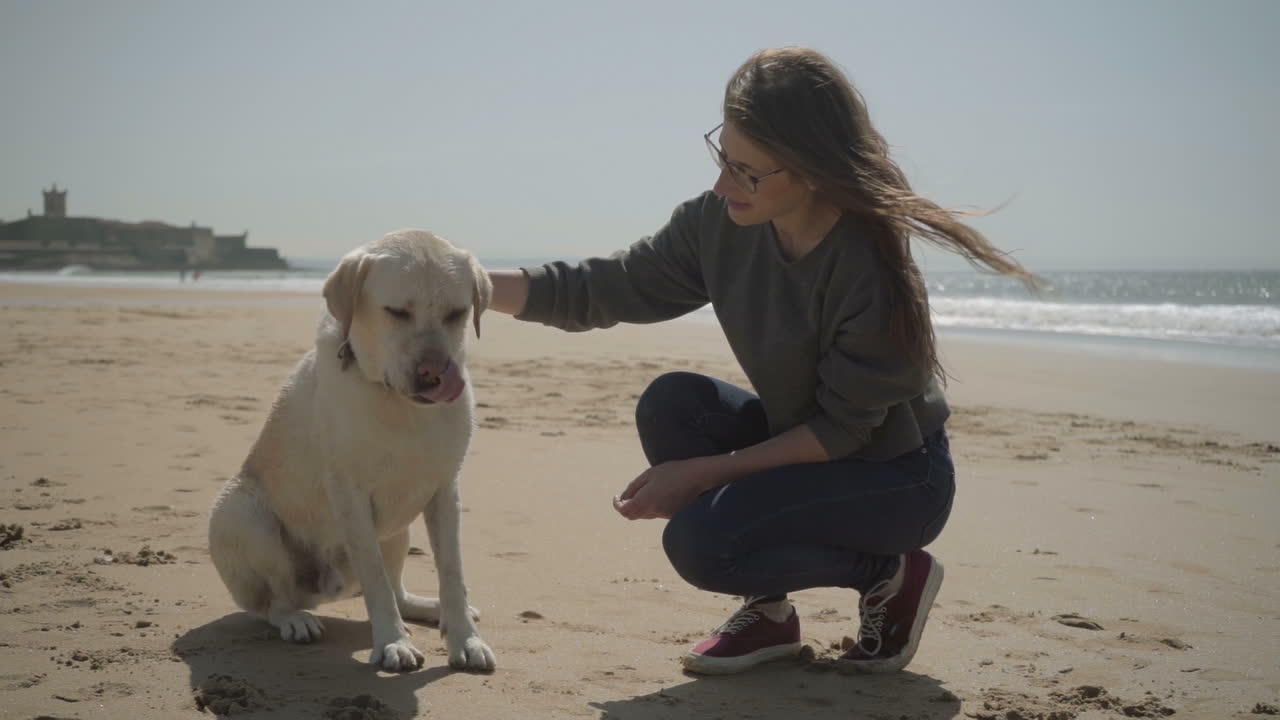 una hermosa dama sonriente con gafas sentada en una playa de arena con una mascota.