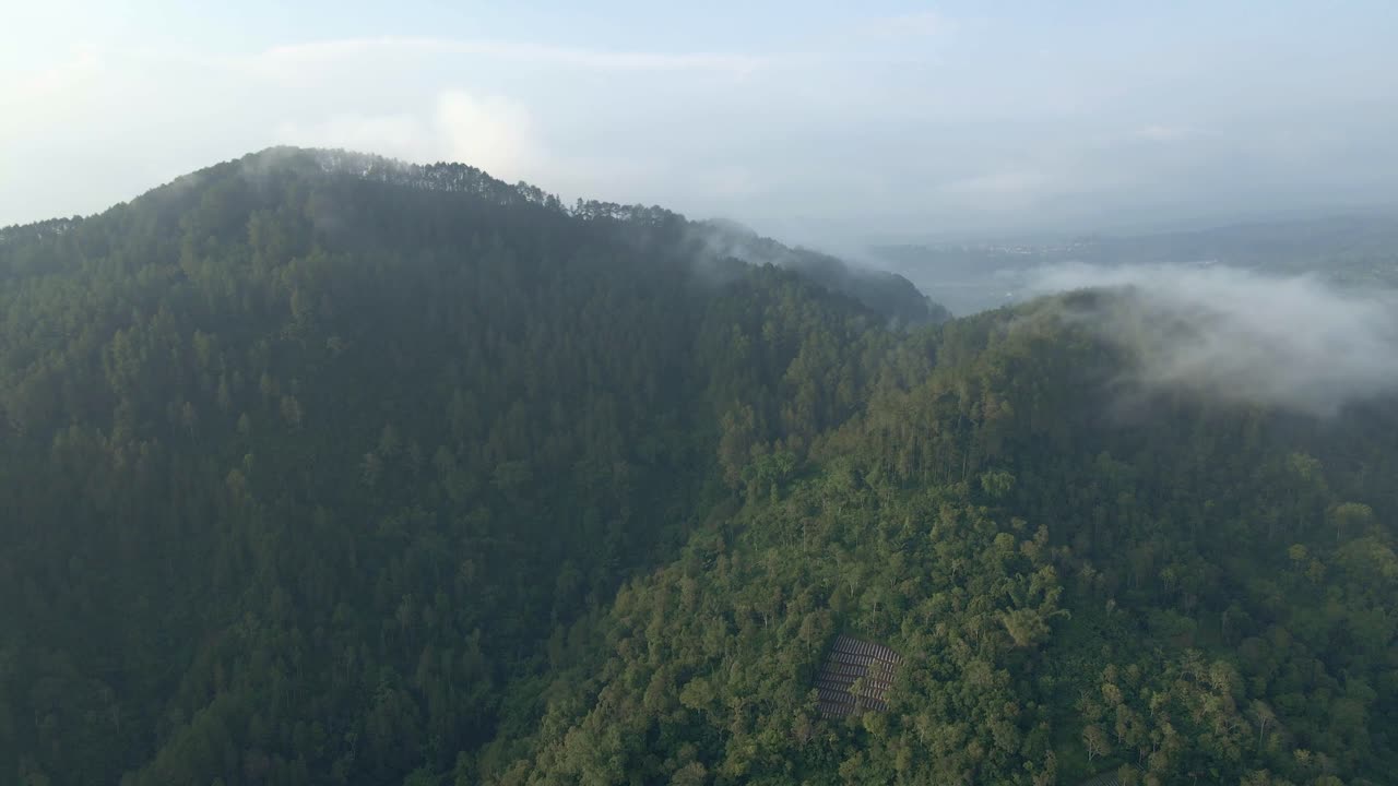 Vista dall'elicottero della foresta pluviale sulla catena montuosa con nebbia.