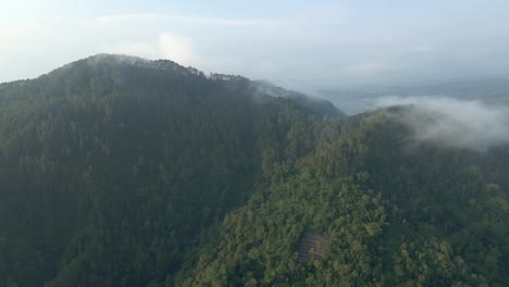 helicopter view of rainforest on the mountain range with fog