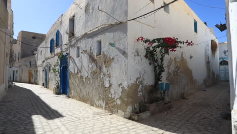 a quiet narrow street with whitewashed buildings and colorful flowers in an old tunisian town