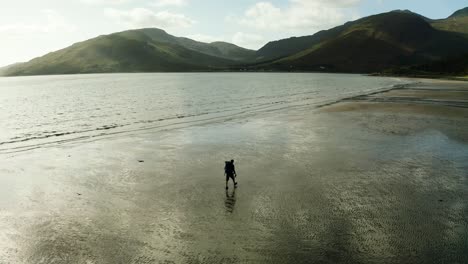 Aerial-View-Of-Sillhoutte-Of-Backpacker-Walking-Along-Beach-At-Glenelg-With-Isle-of-Skye-In-Background,-Scotland