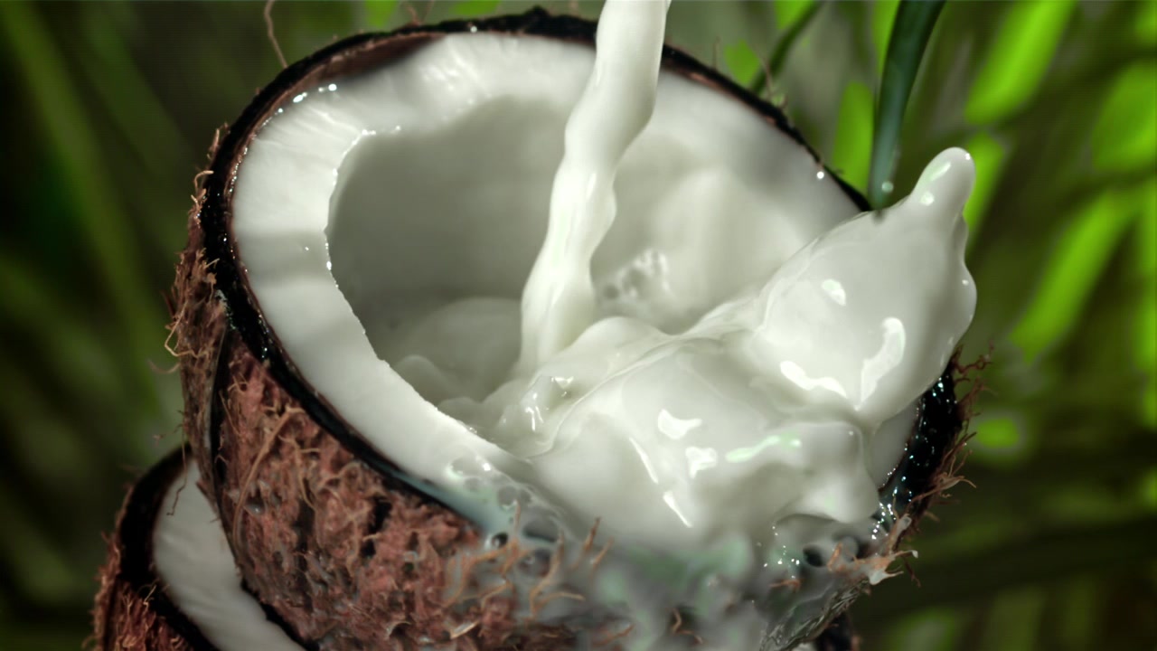 Latte di cocco che si versa e schizza in una noce di cocco tagliata a metà