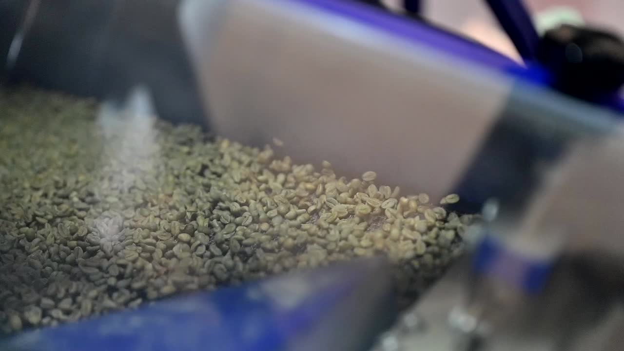Closeup of Unroasted green coffee beans being dried in the container, Raw coffee beans