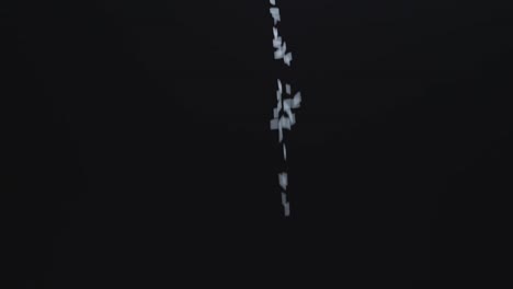rice is falling down on black background in slow motion uncook rice is long line down