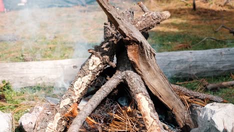 Close-up of a small campfire starting to smoke
