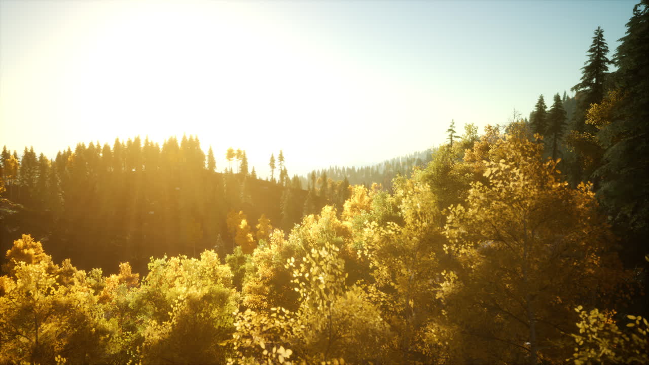 노란색 산 숲 이 있는 가을 풍경