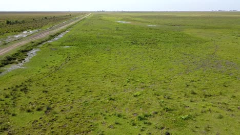 Wetlands-of-northeast-Argentina-shooted-with-drone