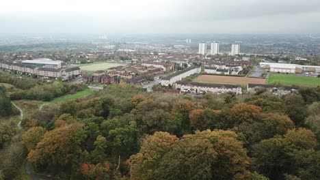 Drone-Volando-Sobre-El-árbol-Revelando-Uno-De-Los-Pueblos-De-Glasgow,-Rutherglen