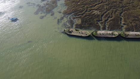 Bandadas-De-Pájaros-Sobre-Algunas-Barcazas-En-El-Río-Medway-En-Una-Tarde-Soleada