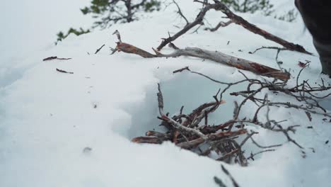 Ausgeschnittene-Ansicht-Einer-Person,-Die-Im-Winterwald-Ein-Lagerfeuer-Vorbereitet