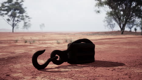 rusty chain hook in the outback